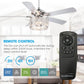 Parrot Uncle 52" Shellie Modern Chrome Downrod Mount Reversible Ceiling Fan with Lighting and Remote Control