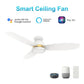 Carro USA Fremont 52 inch 3-Blade Flush Mount Smart Ceiling Fan with LED Light Kit & Remote