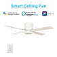 Carro USA Arlington 52 inch 4-Blade Flush Mount Smart Ceiling Fan with LED Light Kit & Wall Switch