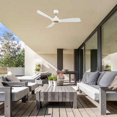 Smart Ceiling Fans