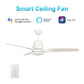 Carro USA Eunoia 52 inch 3-Blade Smart Ceiling Fan with LED Light Kit & Wall Switch