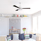 Clara 52 inch LED Ceiling Fan  Brushed Nickel