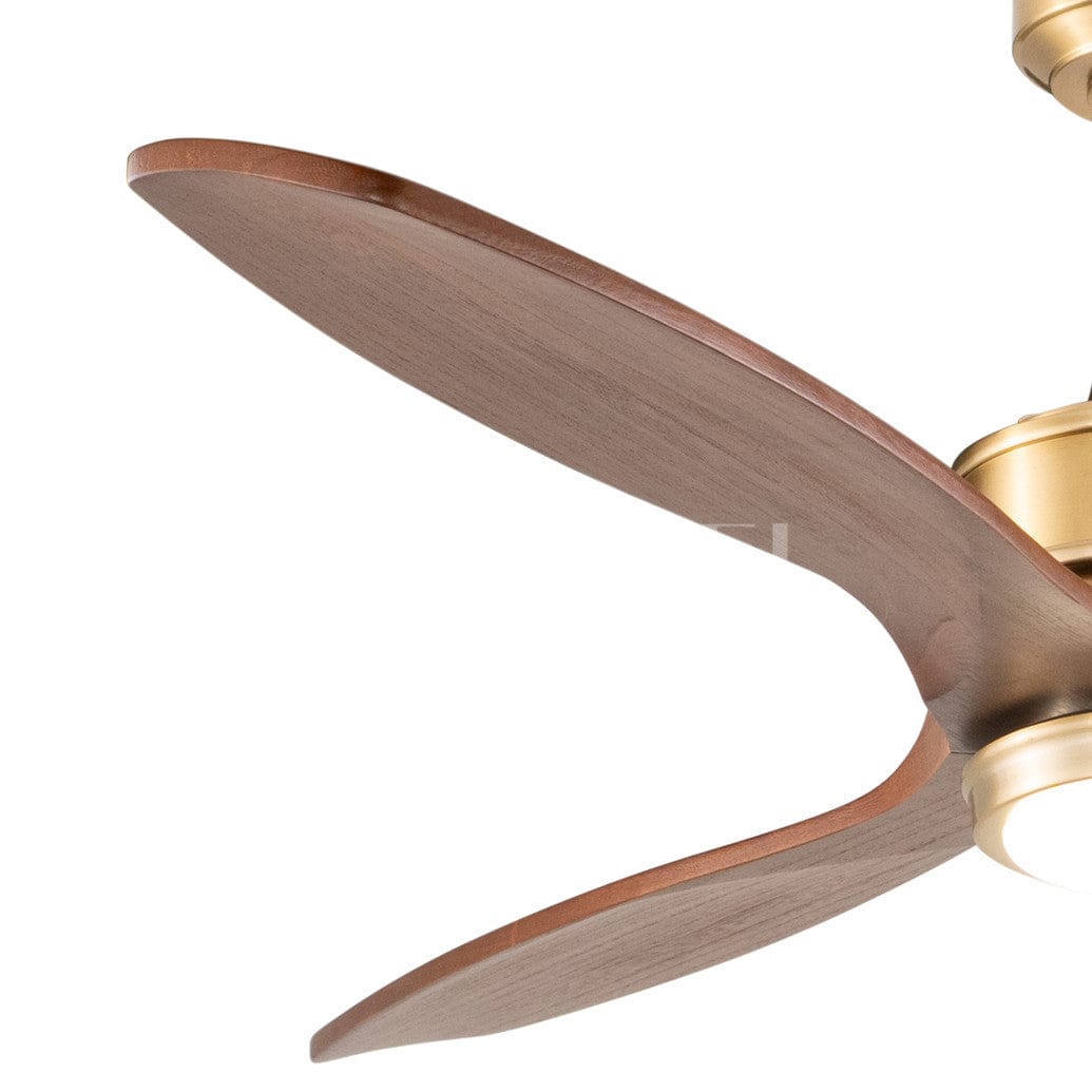 Curtiss 52 inch Ceiling Fan Satin Brass