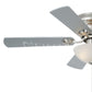 Expo 42 inch Flush mount Ceiling Fan Satin Nickel