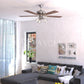 Clybourn 52 inch LED Ceiling Fan Satin Nickel