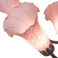 Meyda Lighting 24" Wide Pond Lily Pink 7 Light Chandelier